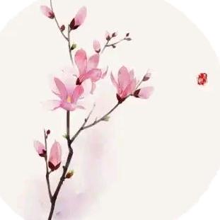 莲花姐姐