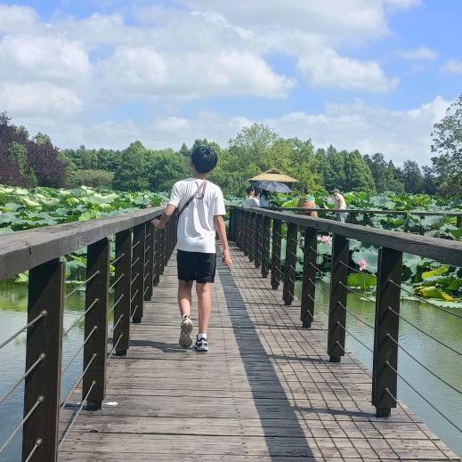 梅子煮酒（拒私聊）