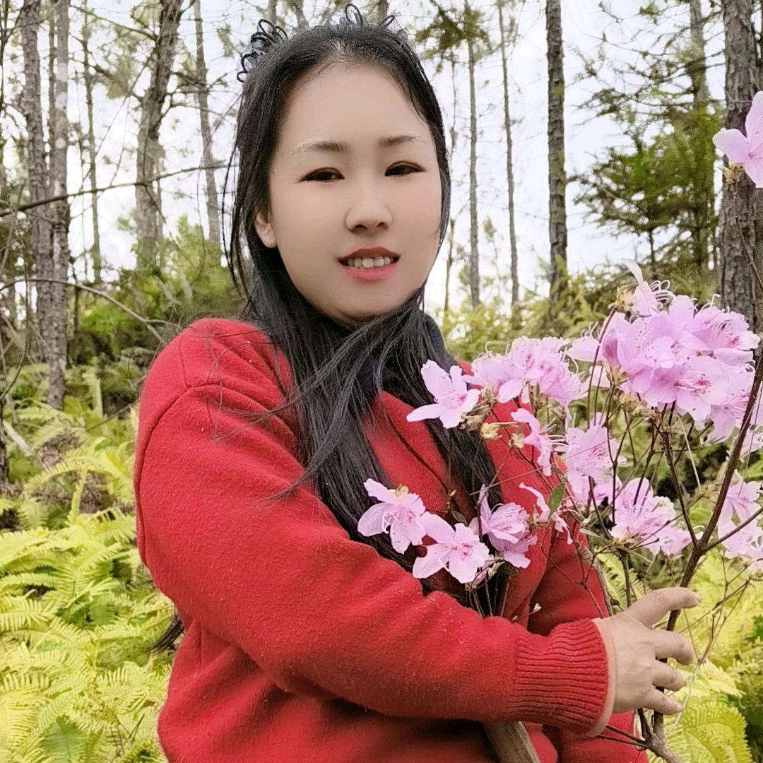 上犹财务陈燕华