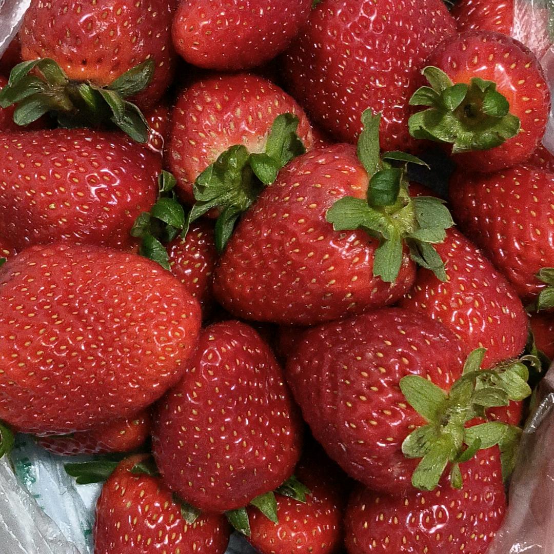 快乐的&小天使&