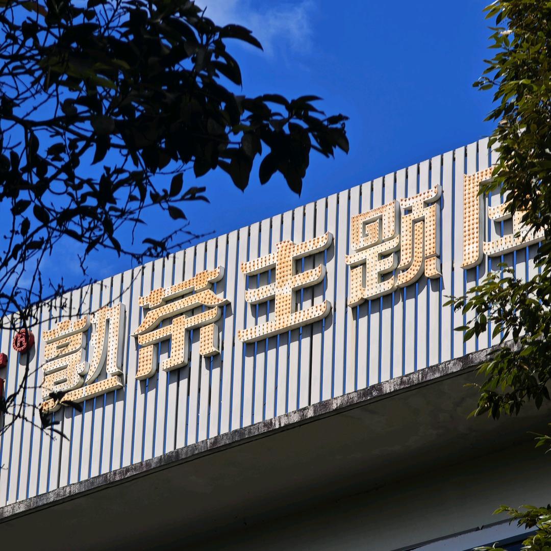 智慧雨林