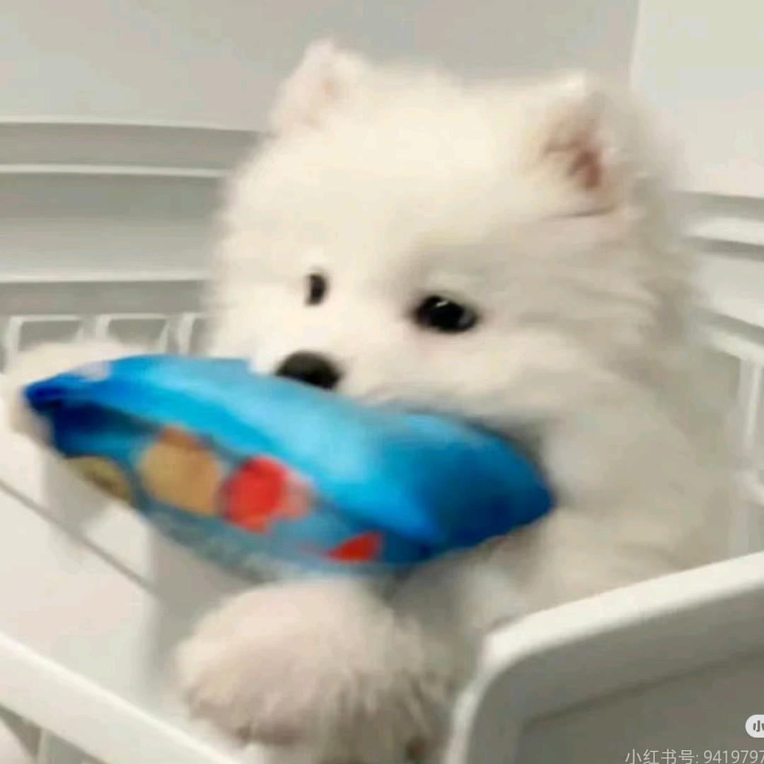 星期八