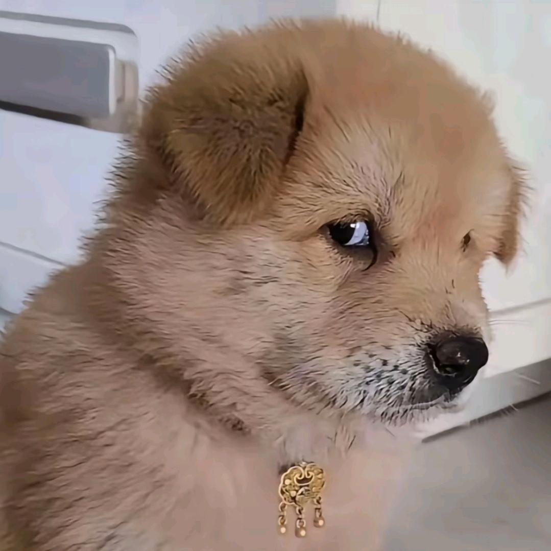 ❤宇妹妹
