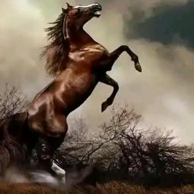 生命不息，奋斗不止。