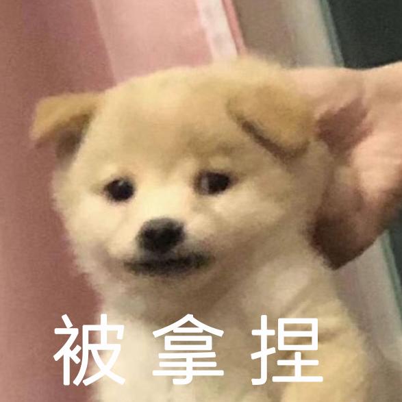 被拿捏住