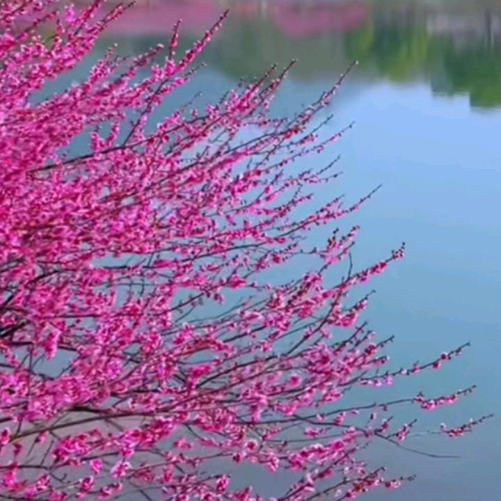 大唐游侠