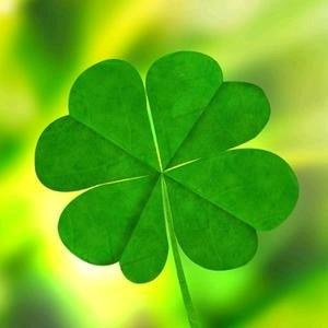 永康美容养生理疗馆