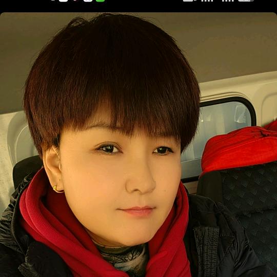 山东窦姐