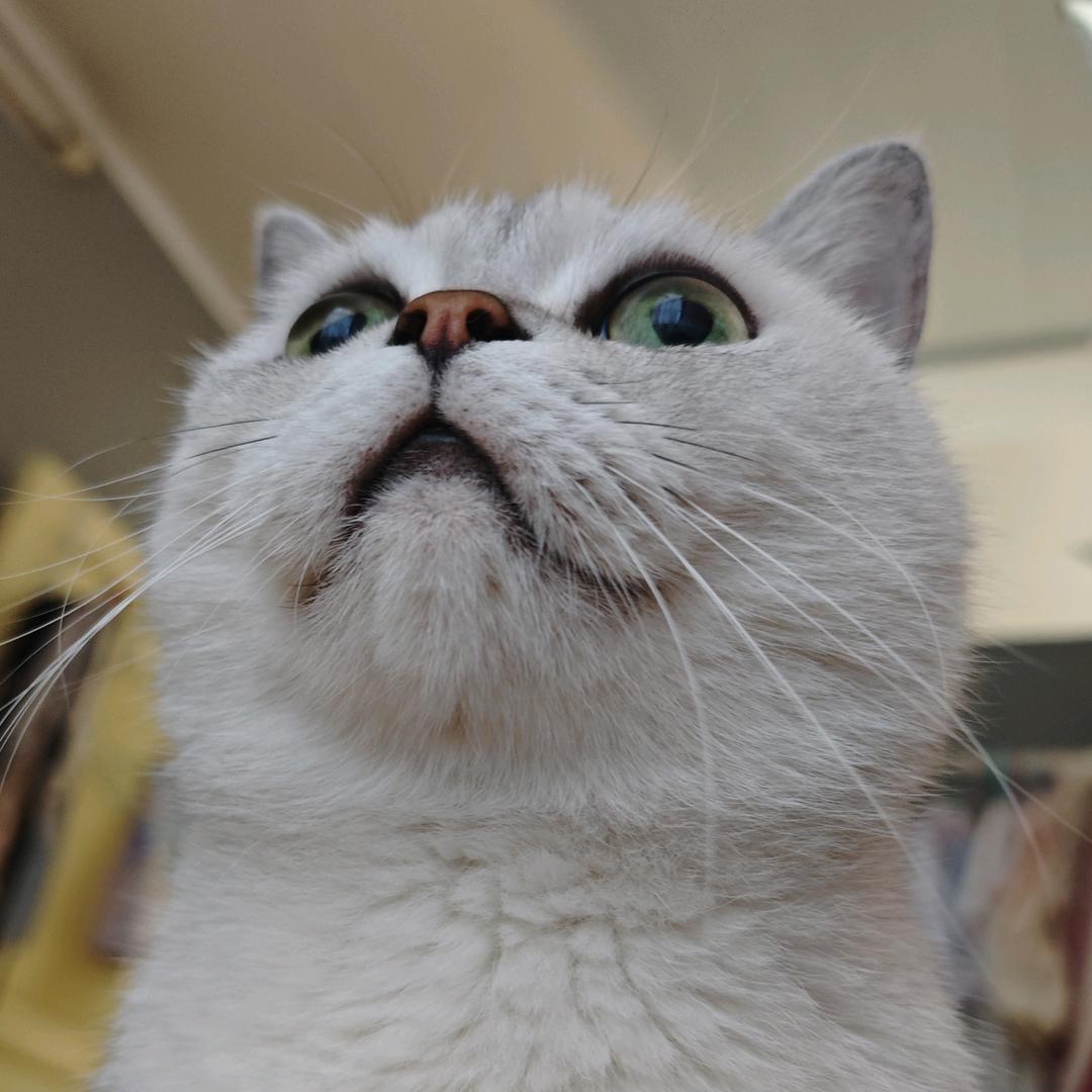 糖糖（＾Ｏ＾）