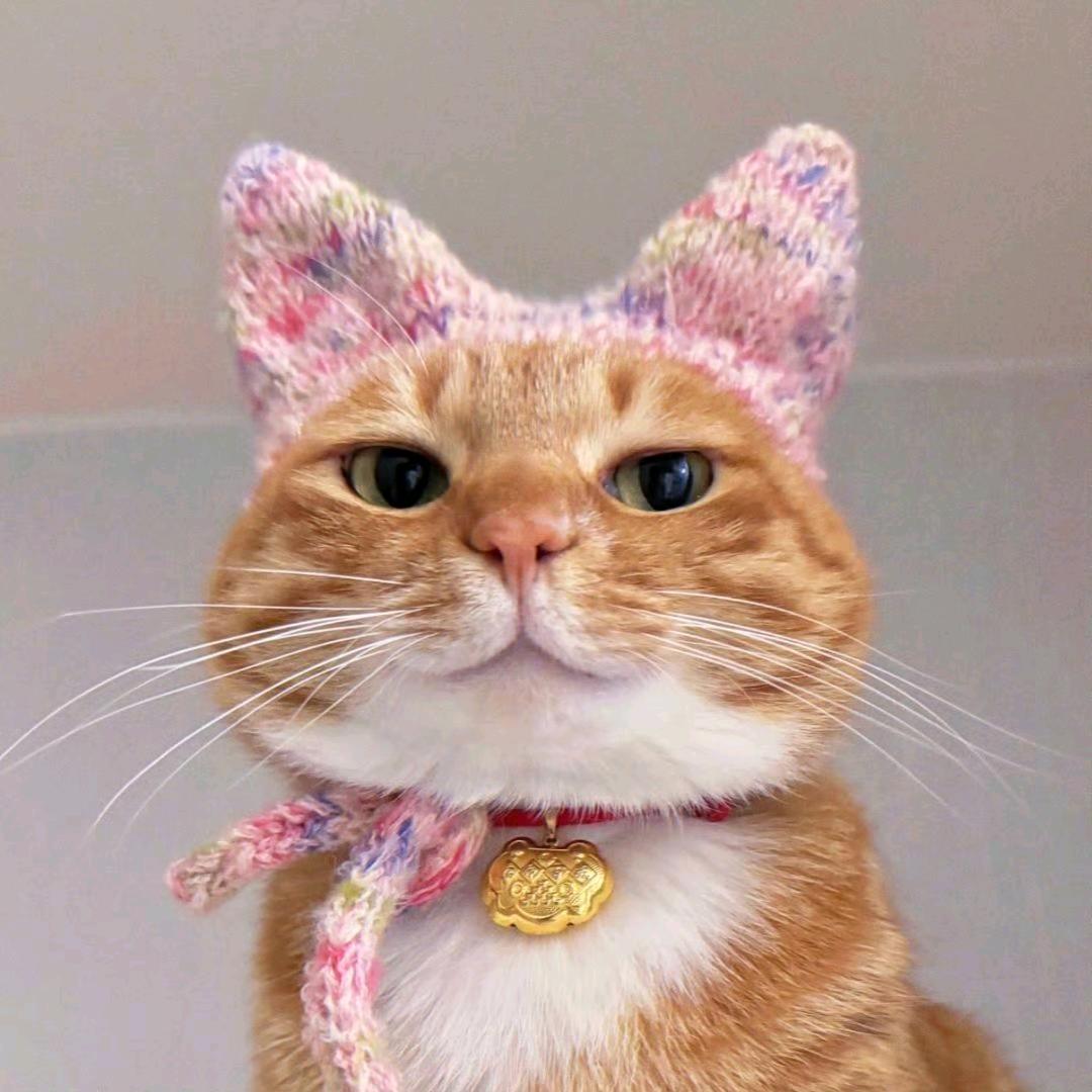 会尖叫的糖耗子