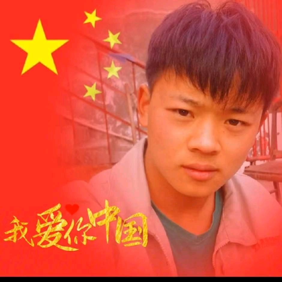 金色朝阳宠物店_华仔