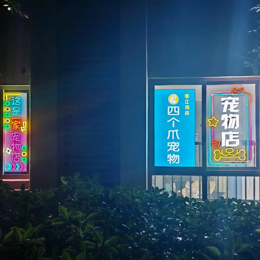 四个爪宠物(李江沟店)