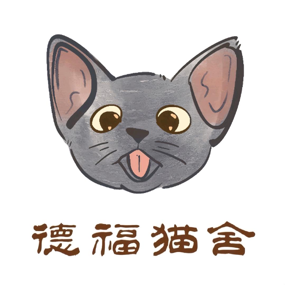德福猫舍-德文赛凯