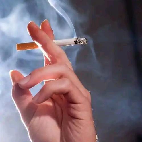 💫༄༊菰影ོྂཾ࿐✨