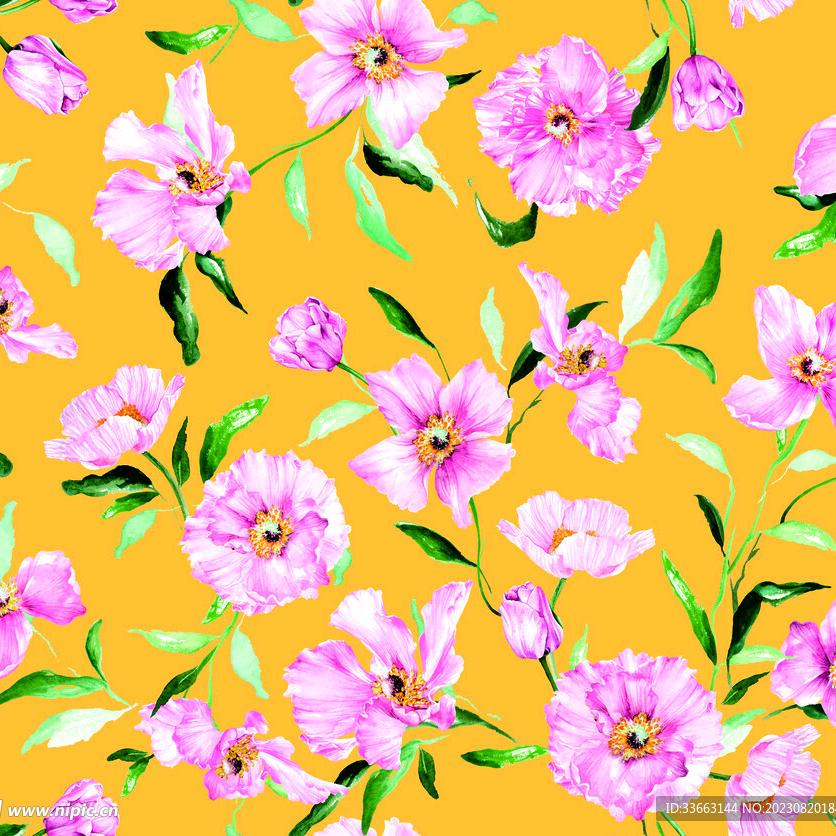 二花视界