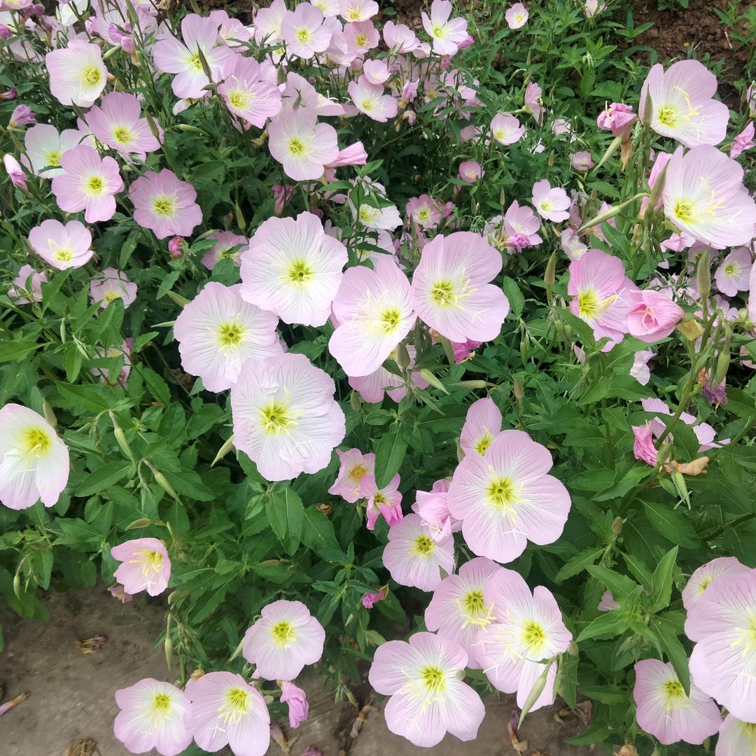 一生何求