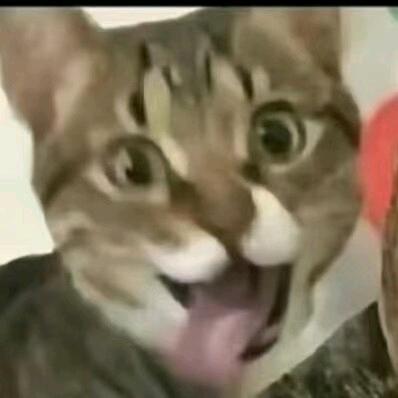 有个人前来买瓜