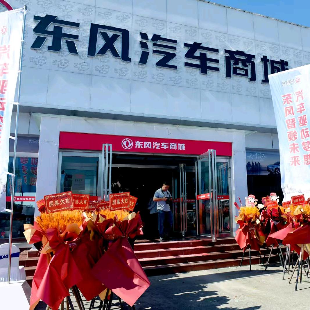 枣阳兴荣亚汽车销售服务有限公司