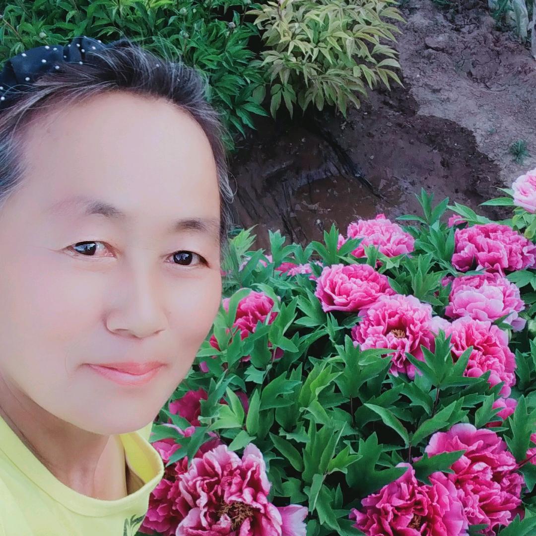 红梅玉马