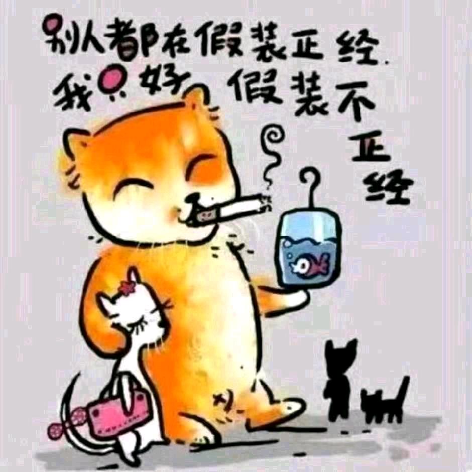 光头哥