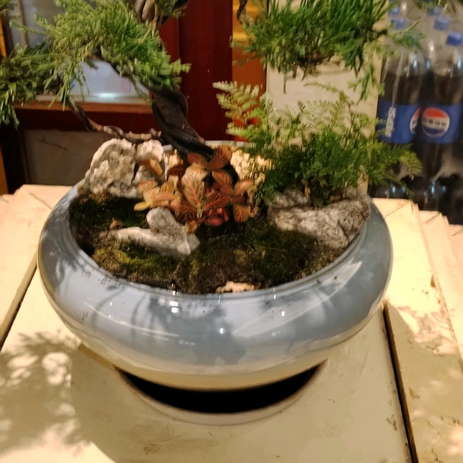 古镇喜之缘