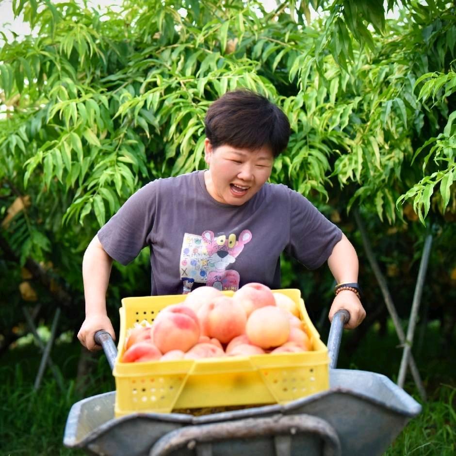 鲜生优选阳山水蜜桃