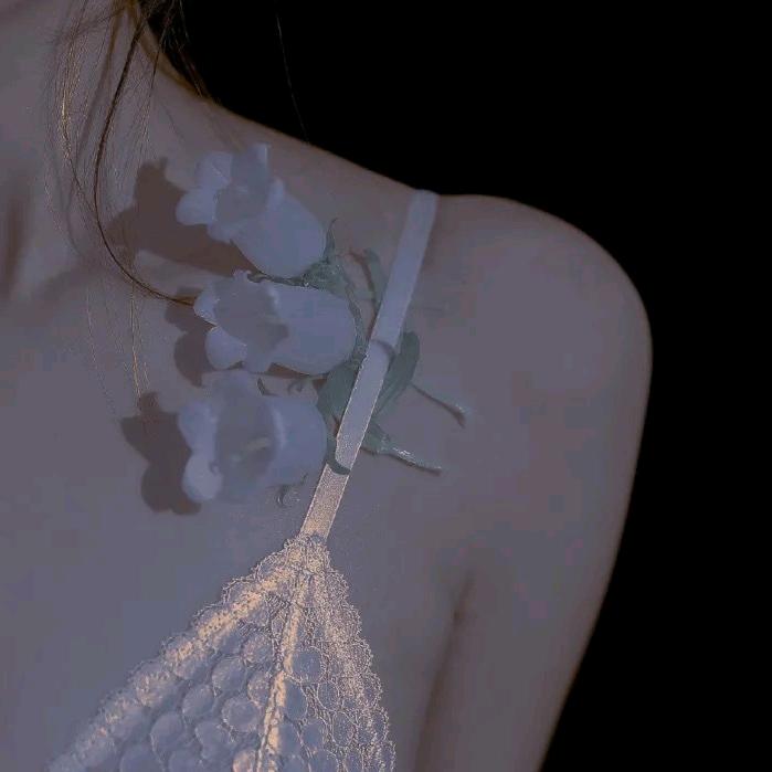 有张大宝和豆大炮💖