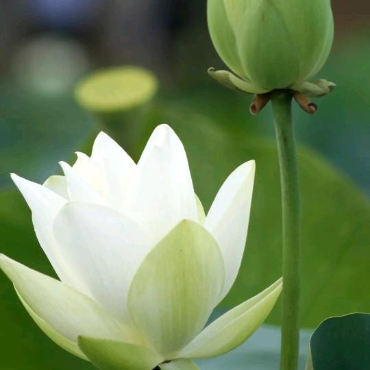 永节同心，