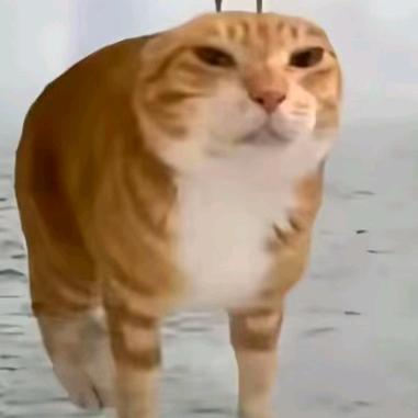 阿鸿