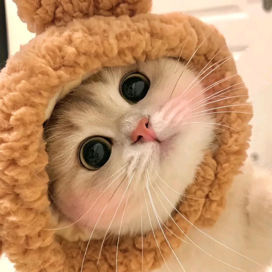 哈哈哈😁