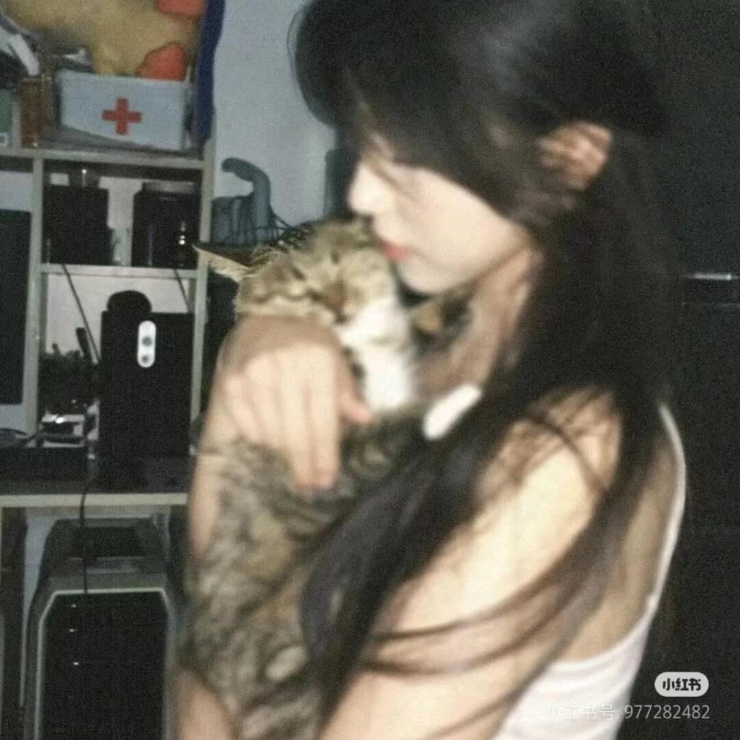 不不不不不不不不不不不不不不扒拉橘子苦茶