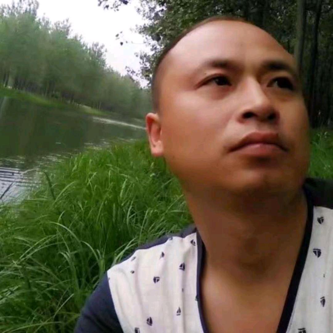 石来运转，磊