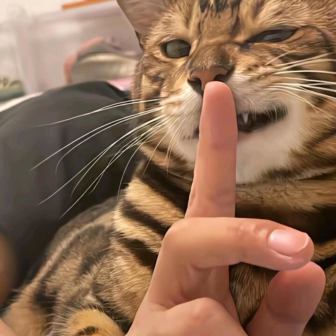 惜.头像