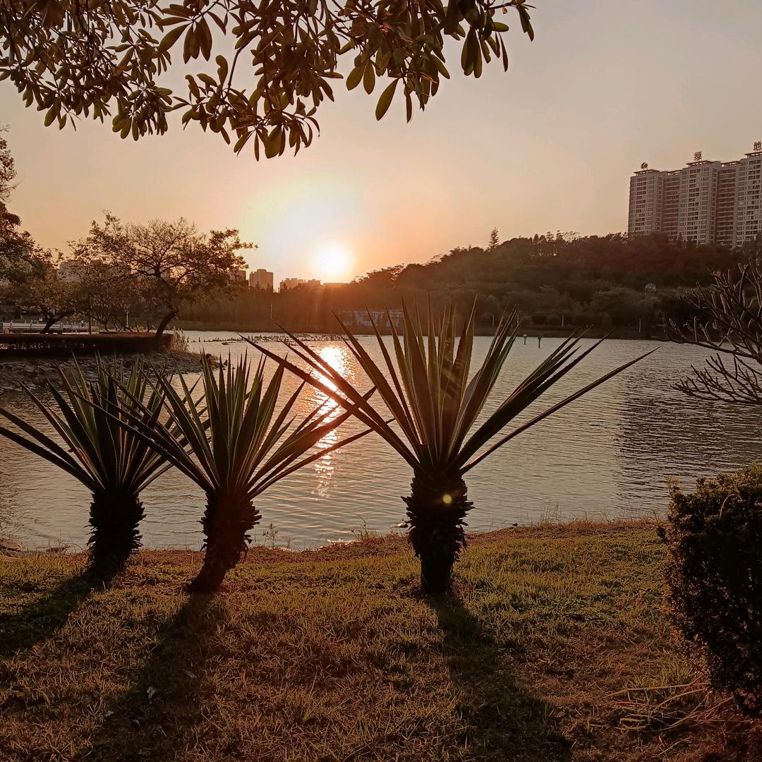 从前现在过去再不来