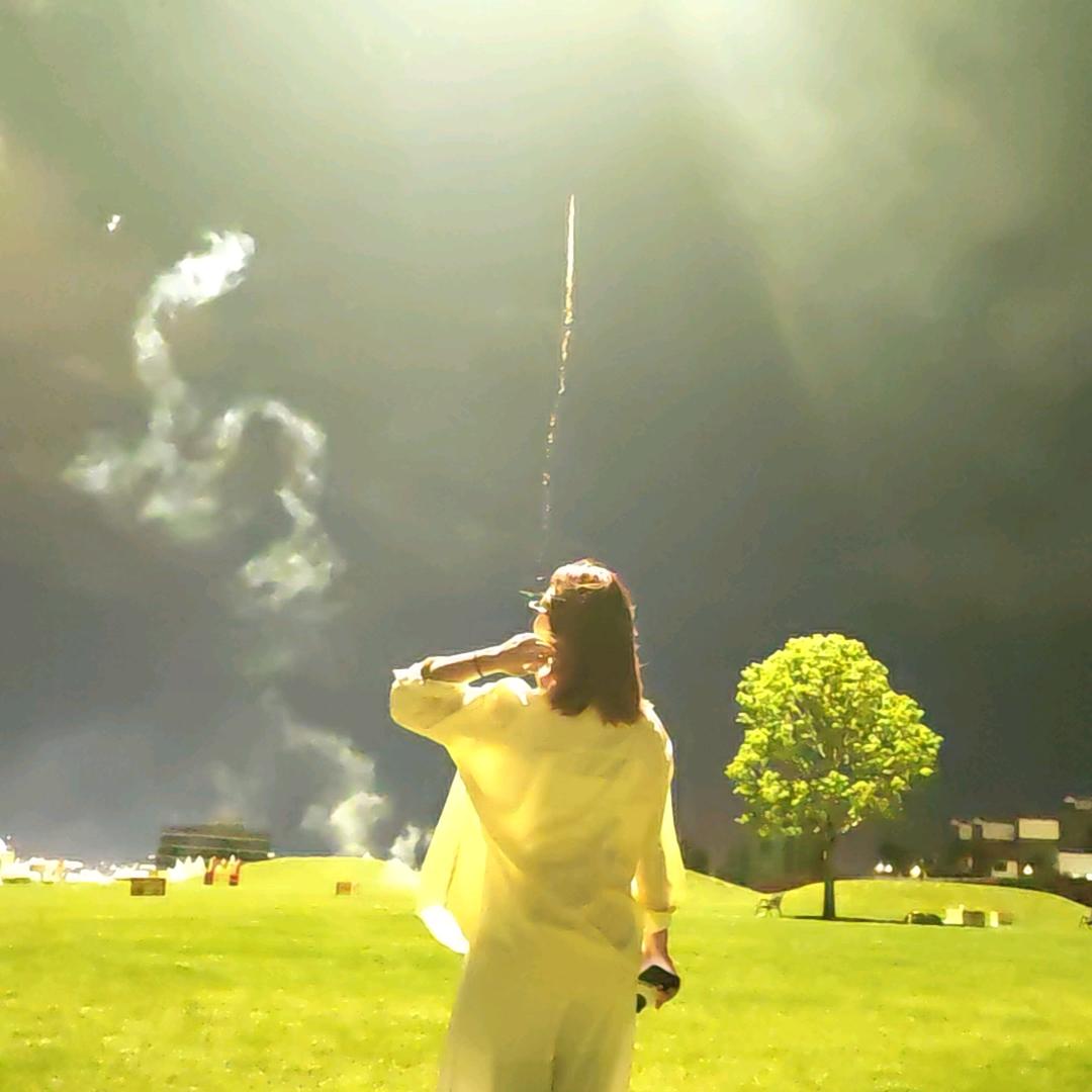 毛毛虫🐛🐛🐛🐛🐛