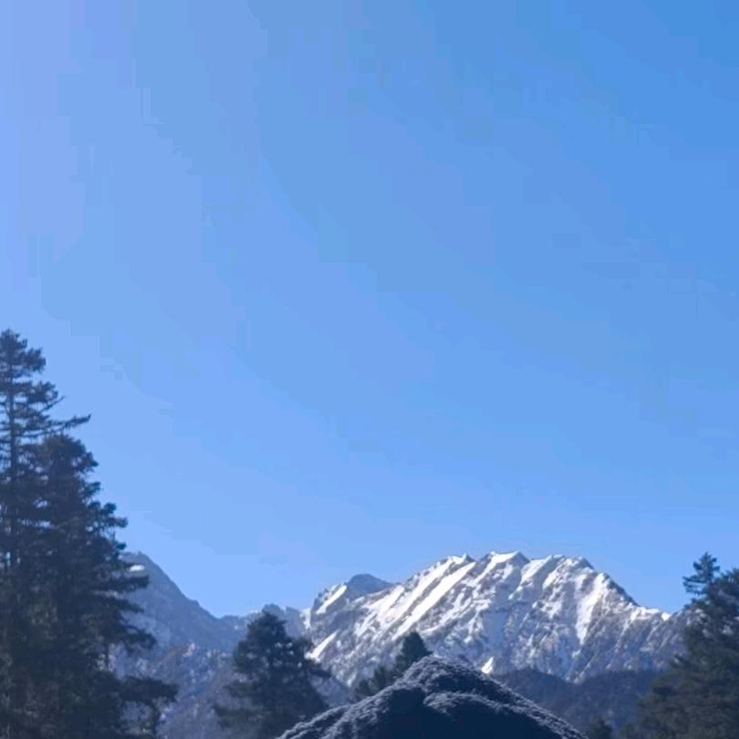让爱云散