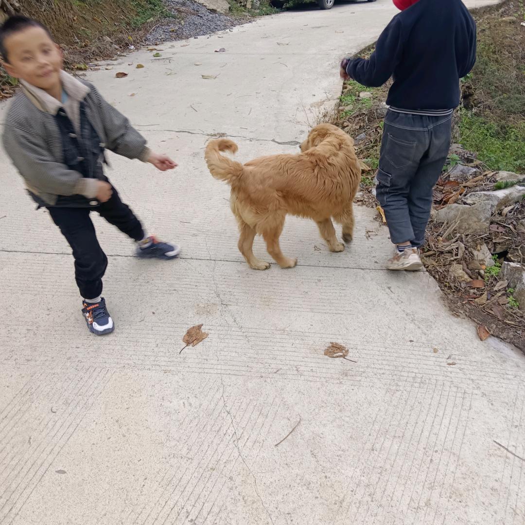 用户勿忘心安