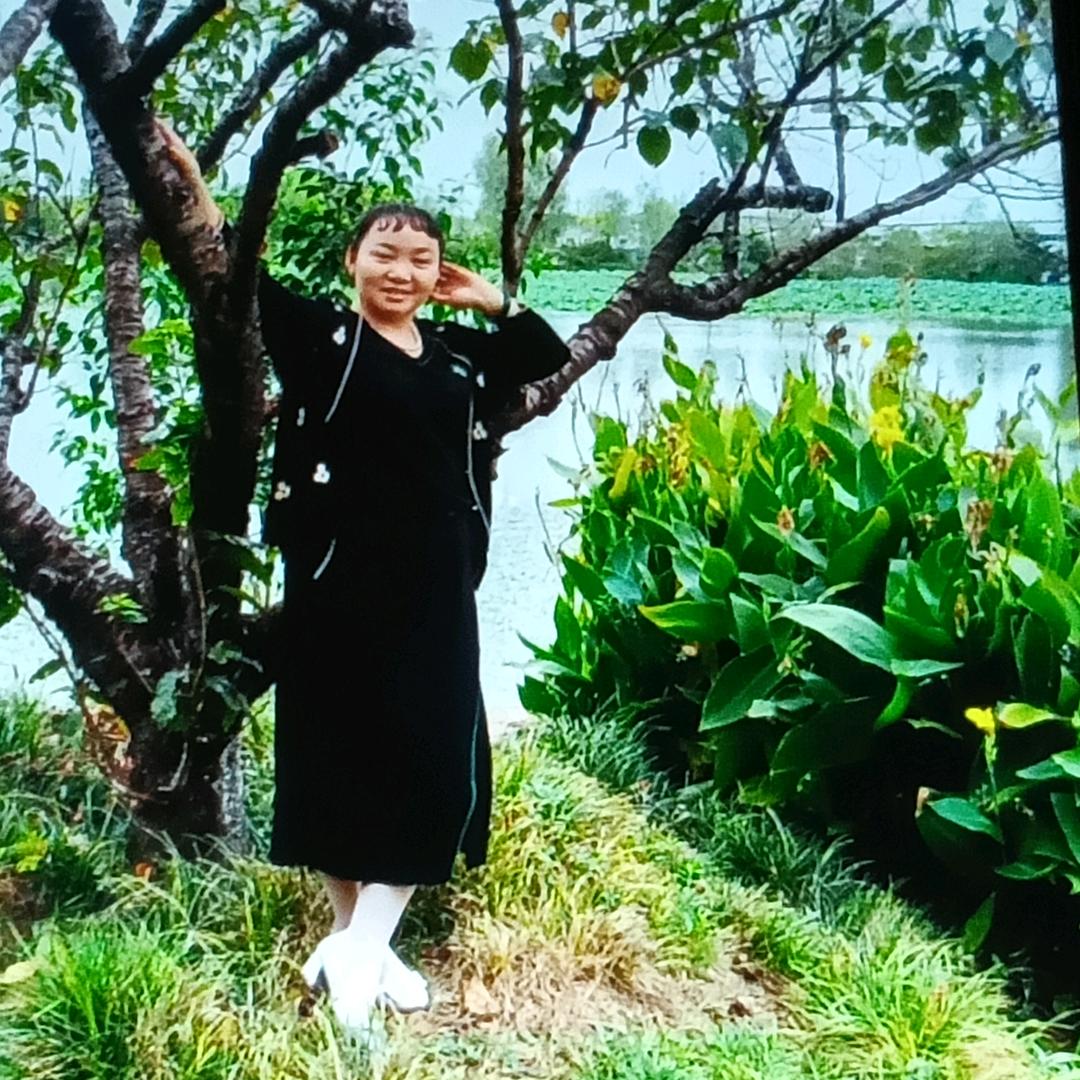 冰 雨