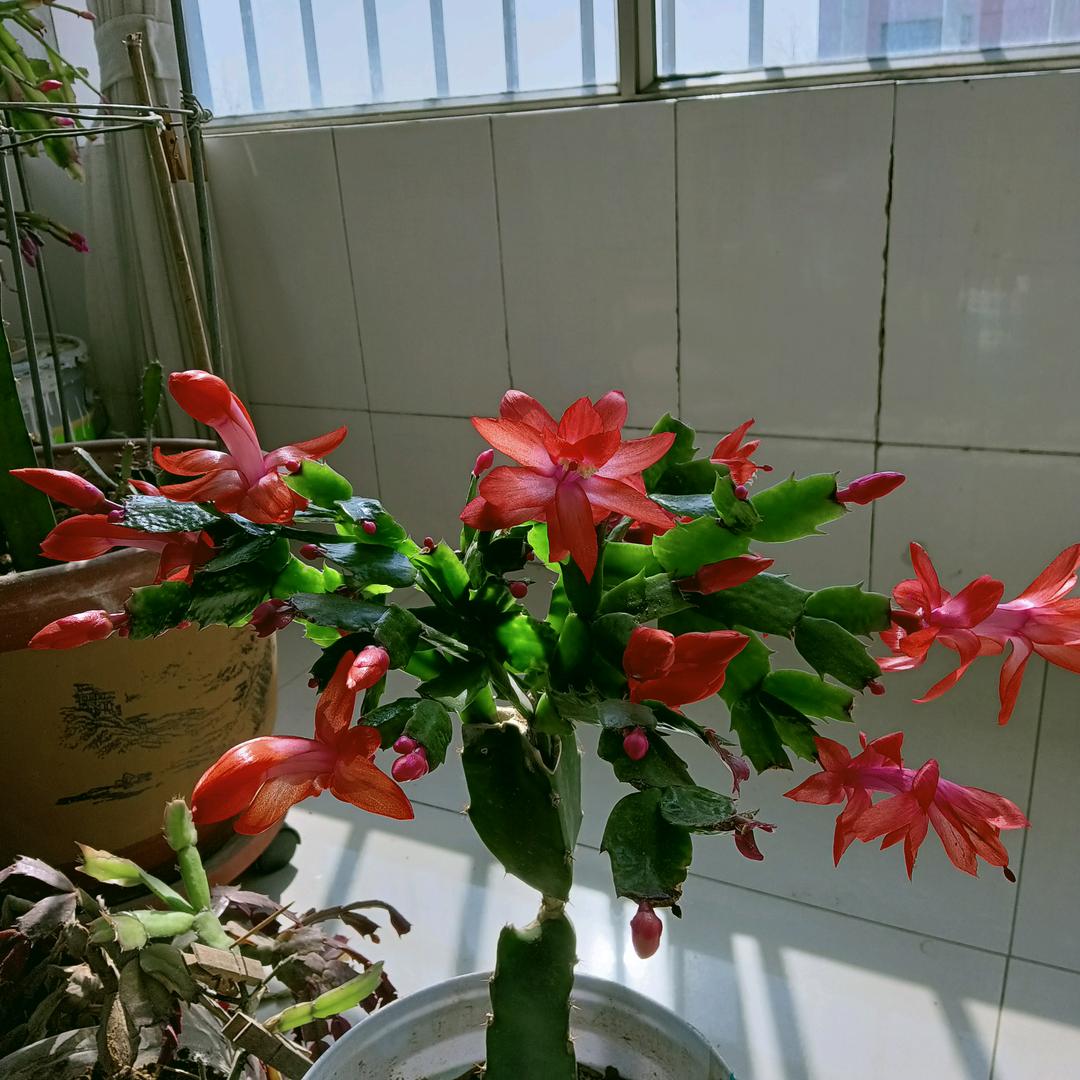 海阔天空：