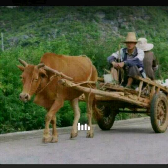 幸福来敲门 😂😂