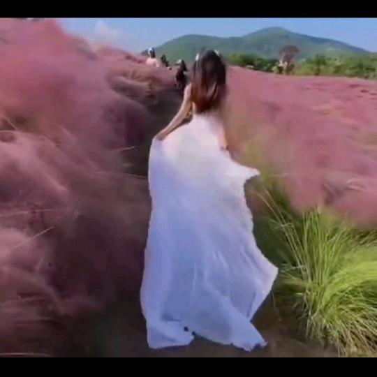 欣怡影视