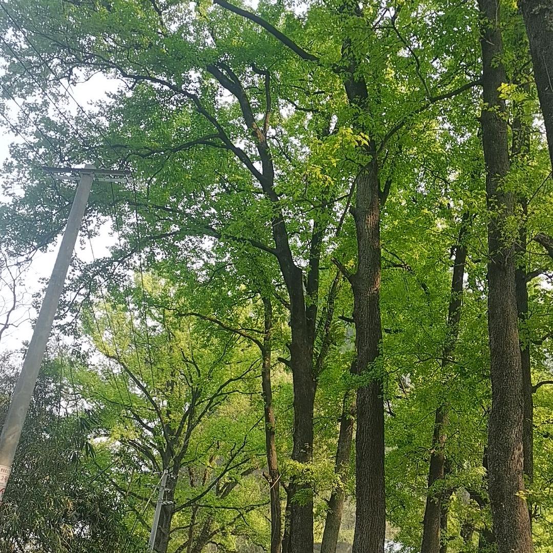 一切随缘198001201