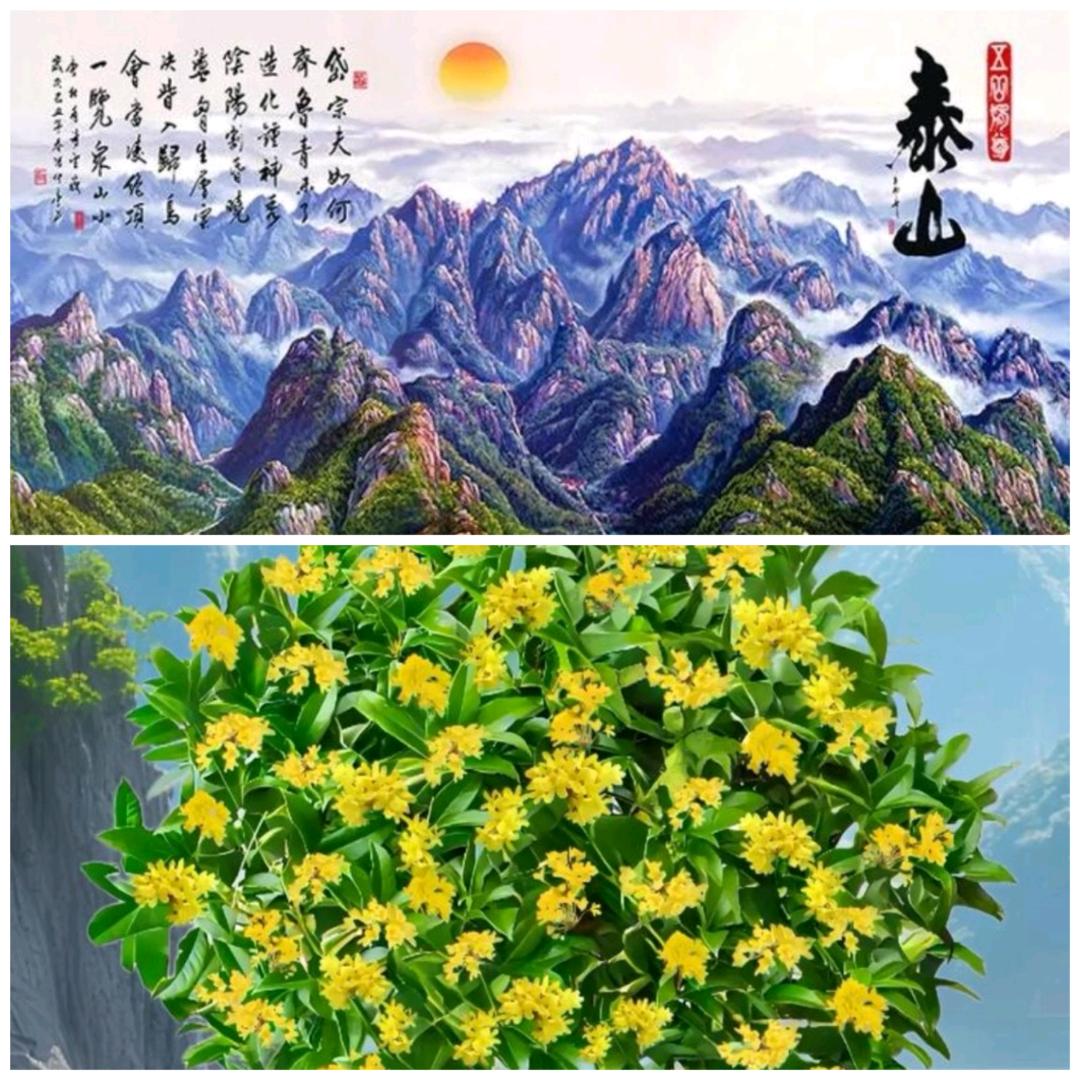 淇淇820 3949 38160