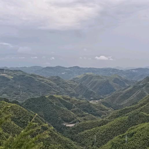 附海绿佳浩杰