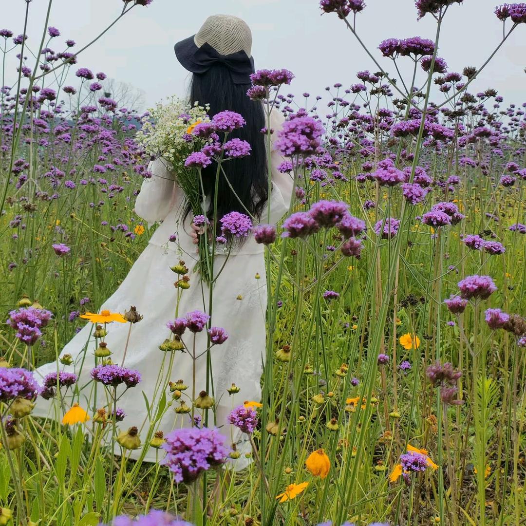 佰果冠果业（武汉江夏）