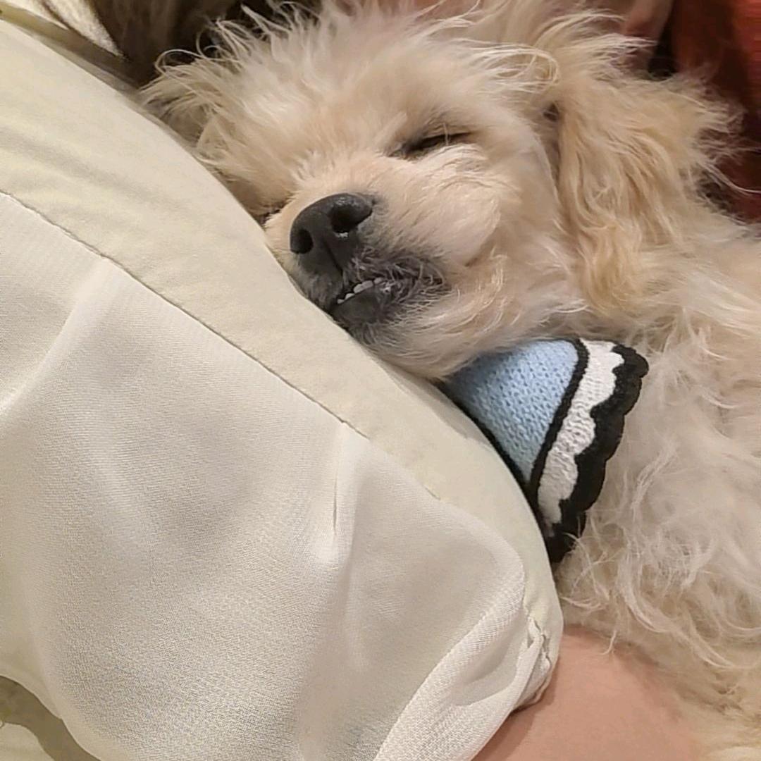 来一根烤肠⁷⁷⁸