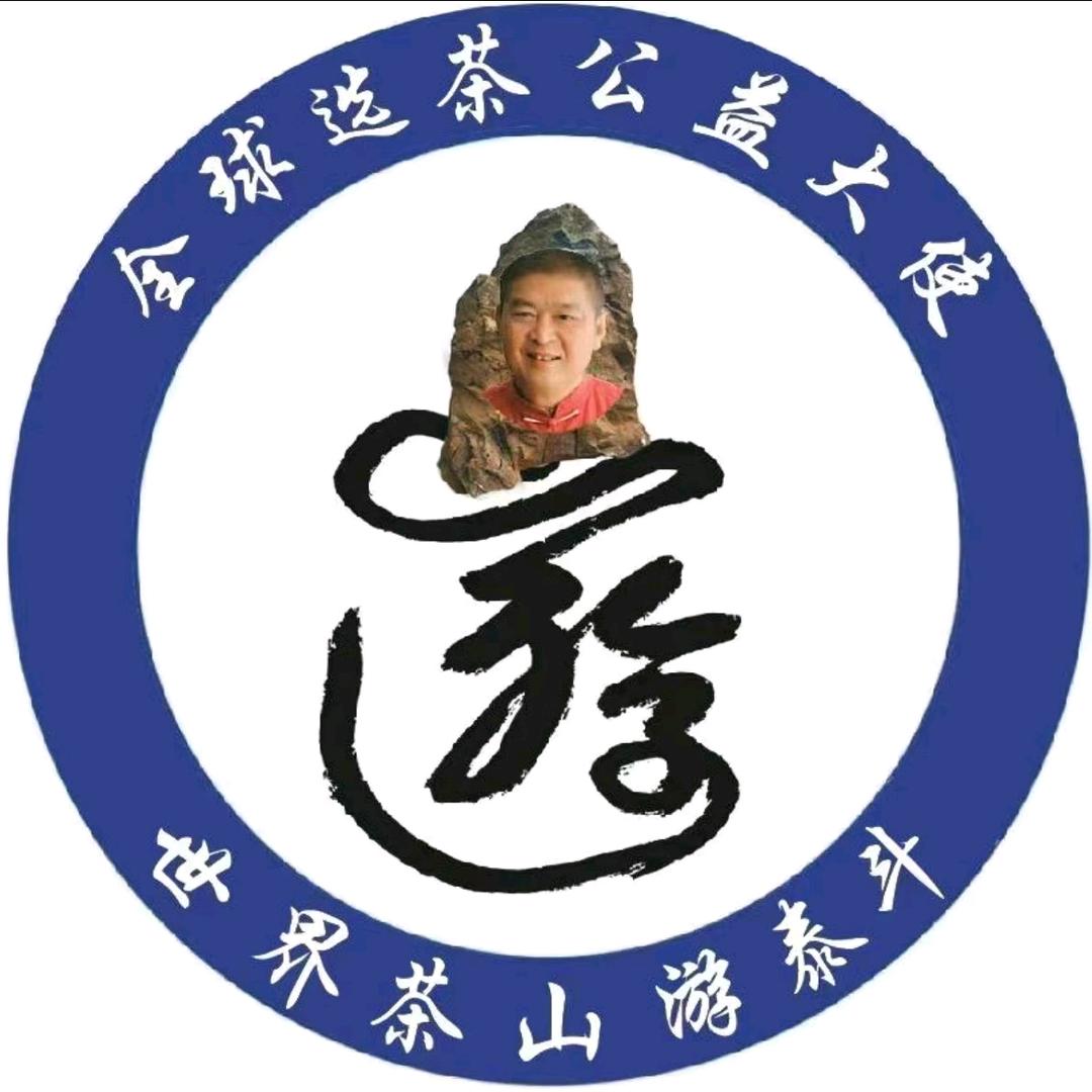 全球茗茶公益大使《云南茶山游》主编