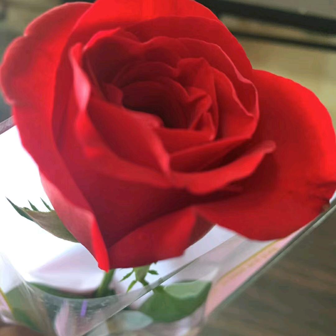 （神秘人）🍎重庆大足🐒🦆🏠🌹