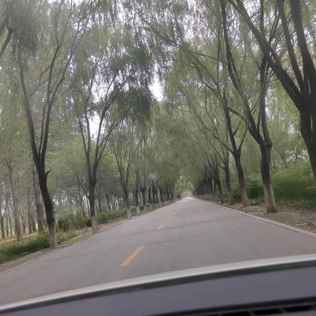 球球