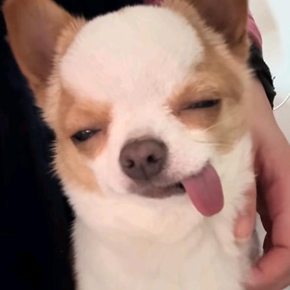 苦咖啡